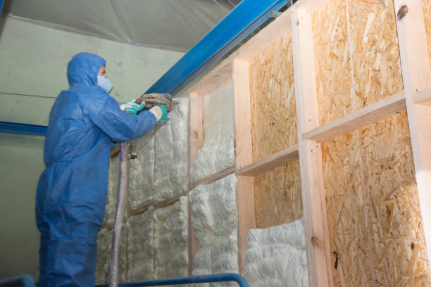 Best Affordable Insulation Services  in Maria Stein, OH